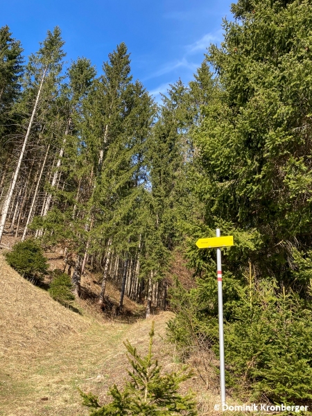 2021_04_01_Hochanger-03