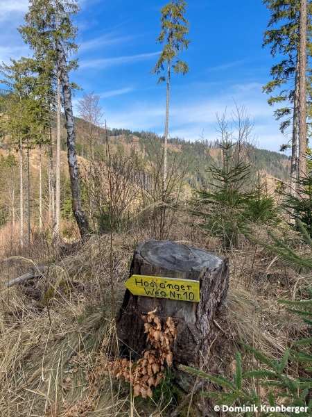 2021_04_01_Hochanger-04