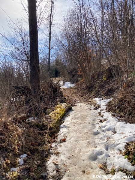 2021_04_01_Hochanger-05