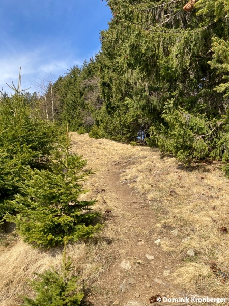 2021_04_01_Hochanger-11